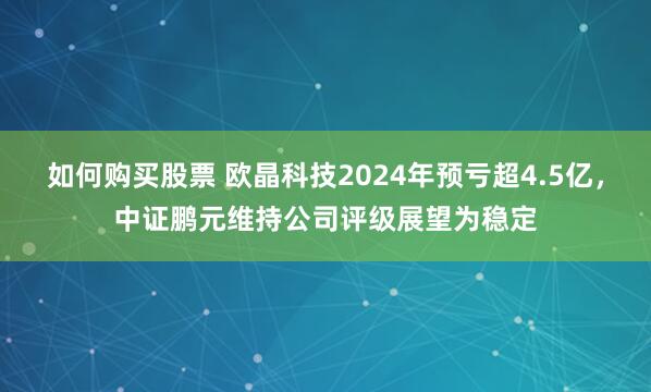 如何购买股票 欧晶科技2024年预亏超4.5亿，中证鹏元维持公司评级展望为稳定