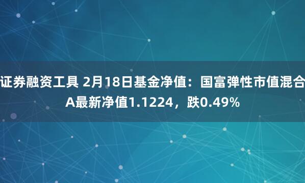 证券融资工具 2月18日基金净值：国富弹性市值混合A最新净值1.1224，跌0.49%